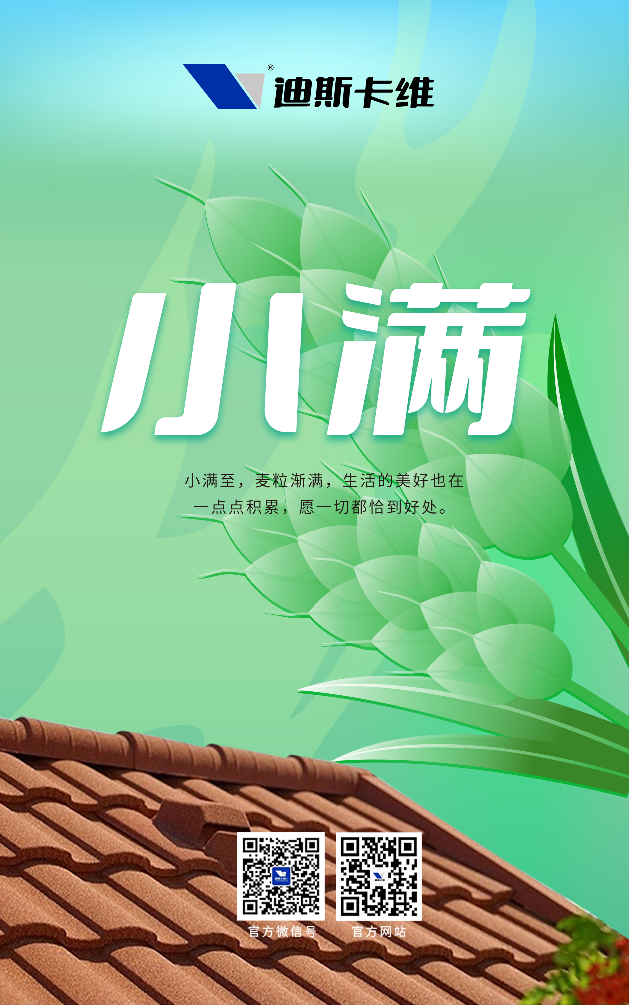 迪斯卡維-小滿.jpg