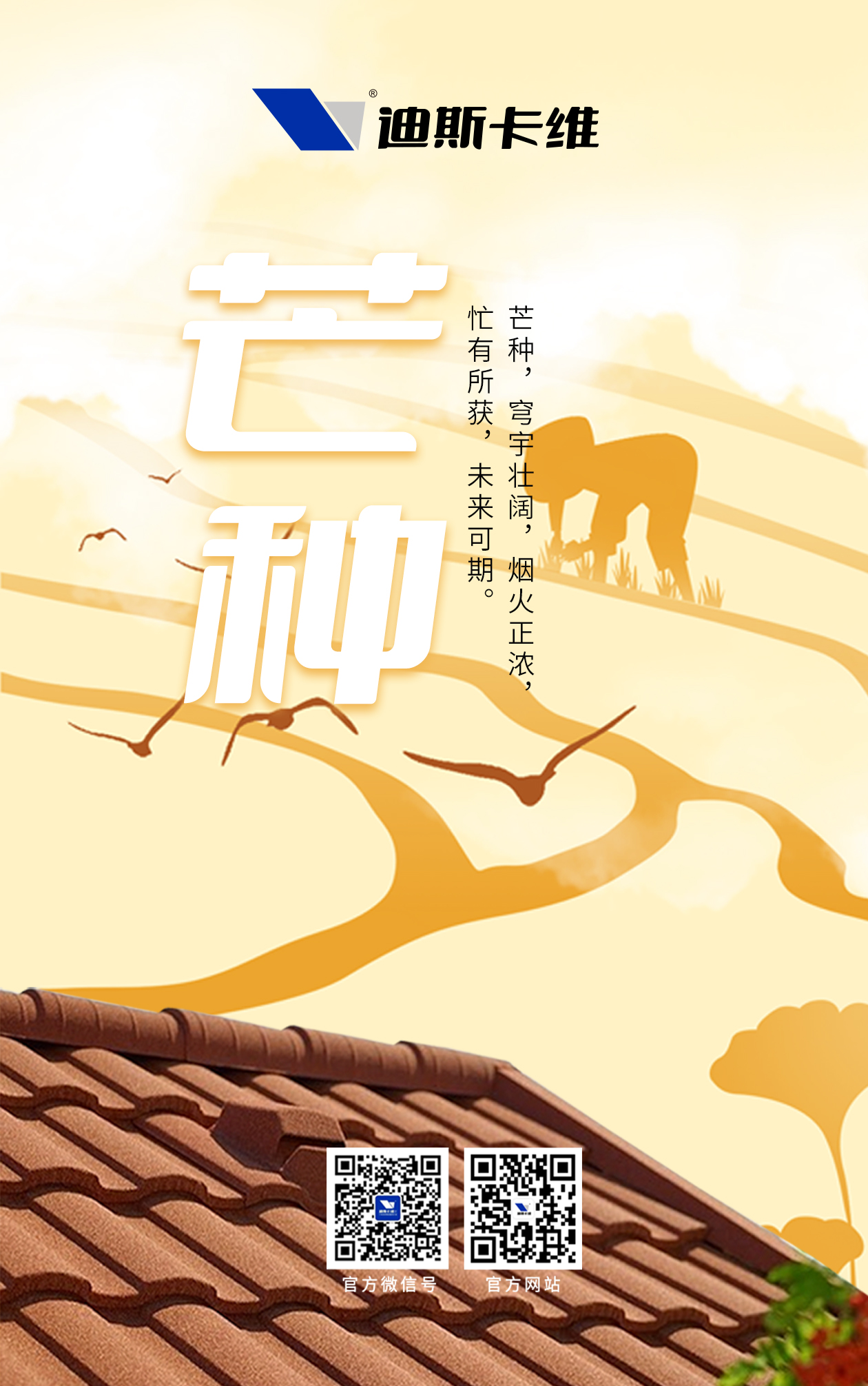 迪斯卡維-芒種.jpg
